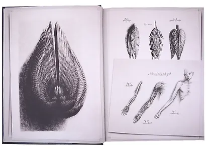 Alien Covenant. Davids Drawings - фото 11