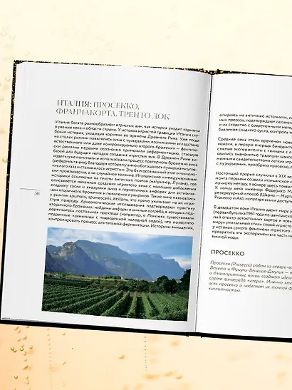 Игристое. От просекко и кавы до шампанского. История, регионы, выбор - фото 11