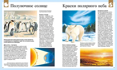 Детская энциклопедия про всё на свете - фото 12