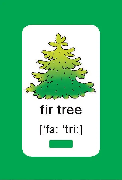 300 первых английских слов. Набор карточек для детей - фото 13