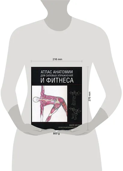 Атлас анатомии для силовых упражнений и фитнеса - фото 2