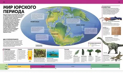 Динозавры. Самая полная современная энциклопедия - фото 5
