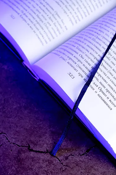 Проклятие Шалиона - фото 10