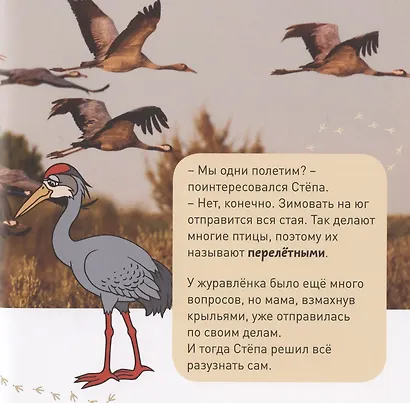 Кто как зимует? - фото 3