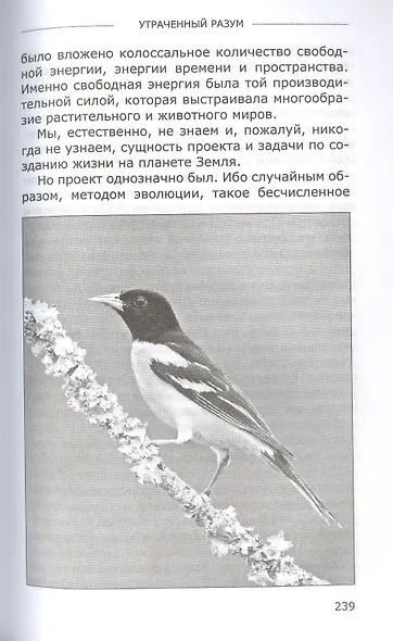 Утраченный разум - фото 9
