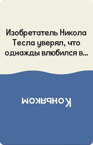 Чешуя себе - фото 12