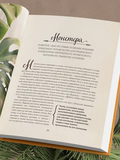 Секреты комнатных джунглей. О чем молчат растения и как понять, что им нужно на самом деле - фото 10