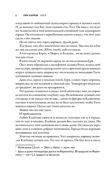 Улей - фото 6