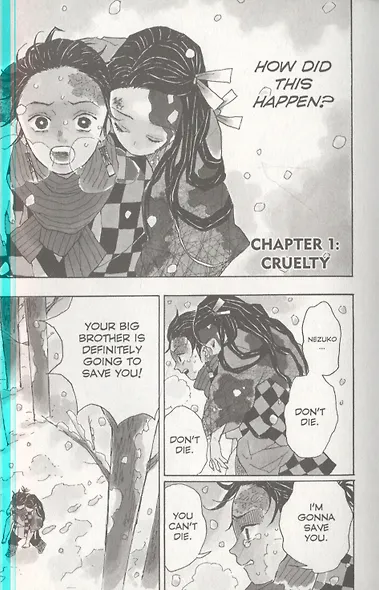 Demon Slayer: Kimetsu no Yaiba, Vol. 1 - фото 3