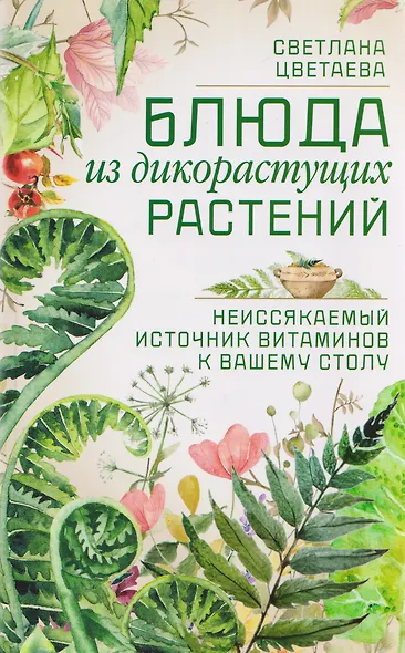Блюда из дикорастущих растений. Неиссякаемый источник витаминов к вашему столу - фото 1