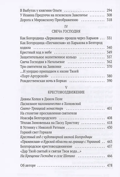 Веселыми ногами. Книга духовных путешествий. XXI век - фото 3