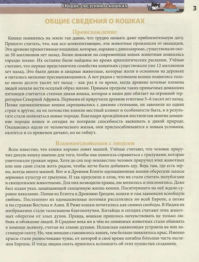 Кошки. Энциклопедия - фото 4