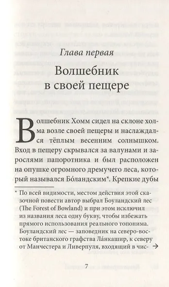 Волшебник Боландского леса - фото 3