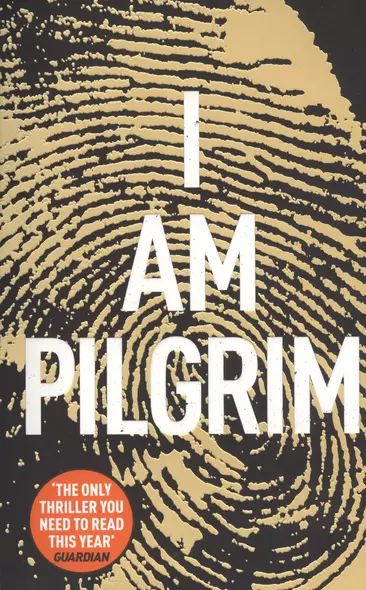 I Am Pilgrim - фото 1