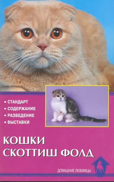 Кошки скоттиш фолд. Стандарт. Содержание. Разведение. Выставки. - фото 1