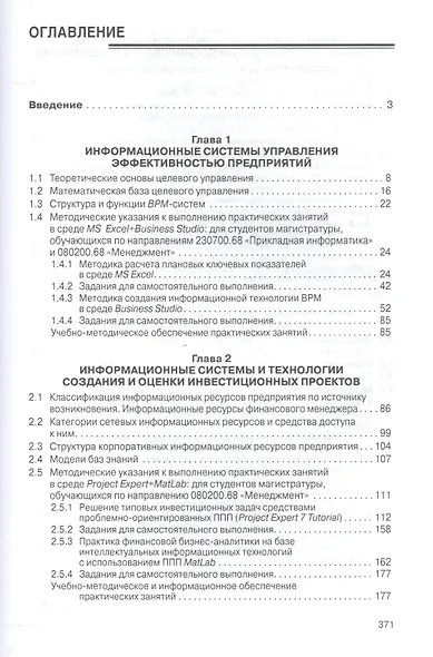 Современные информационные технологии в управлении экономической деятельностью (теория и практика) - фото 2