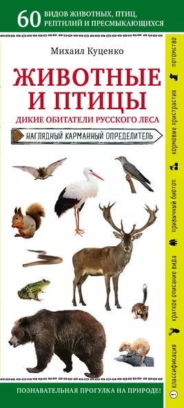 Животные и птицы. Дикие обитатели русского леса. Наглядный карманный определитель - фото 1