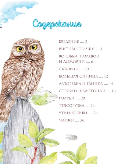 Птицы в городе - фото 8