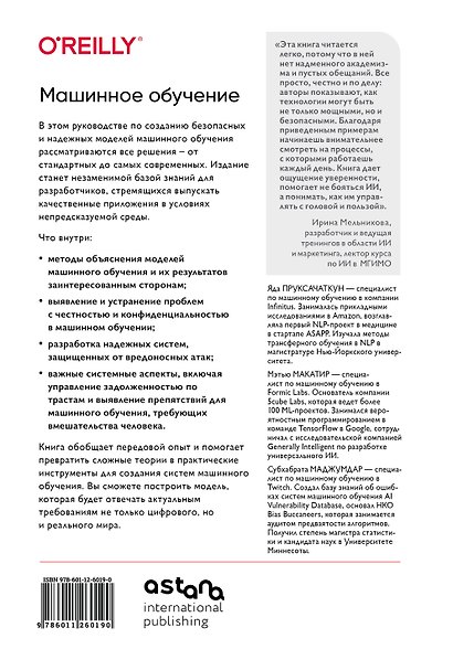 Машинное обучение. Как построить надежные модели искусственного интеллекта - фото 2