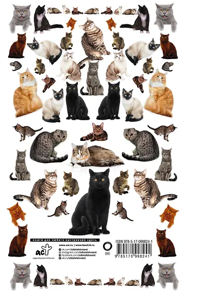 Все о кошках. Иллюстрированный гид - фото 2