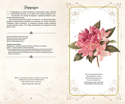 Тайный язык цветов - фото 7