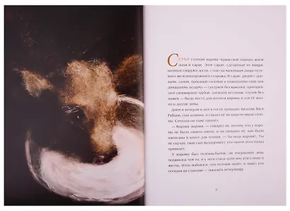 Корова - фото 3