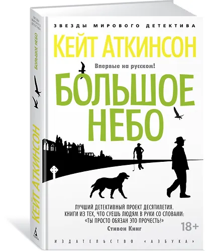 Большое небо - фото 2