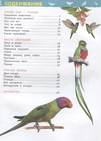 Птицы - фото 2