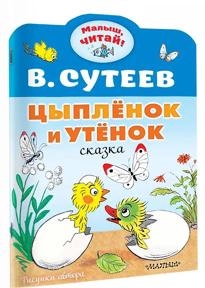 Цыплёнок и Утёнок - фото 3