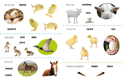 Му-у! Питомцы - фото 7