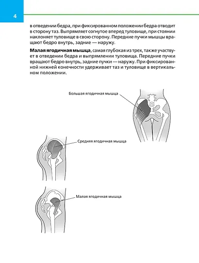 Упругие ягодицы. Эффективные упражнения для красивого тела - фото 5