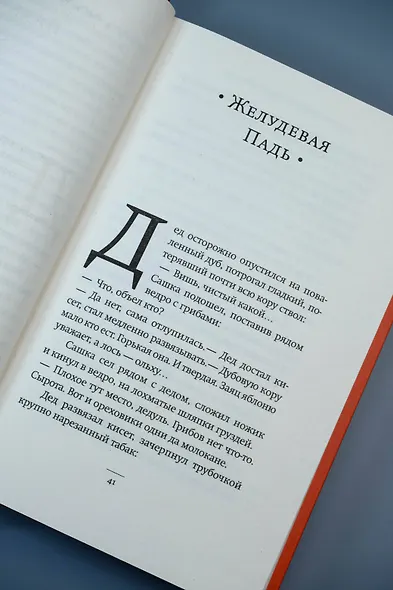 Первый субботник - фото 10