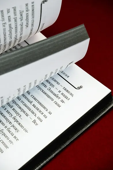 Сожженные приношения - фото 13