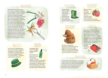 Ягоды. Атлас-определитель - фото 11