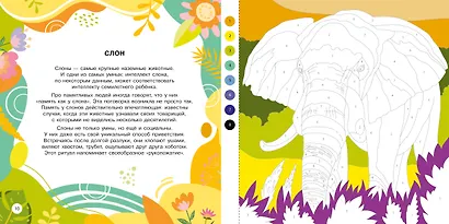 Животные - фото 5