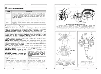 Биология - фото 6
