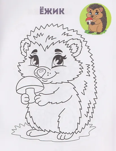 Лесные зверушки. Книжка-раскраска - фото 4