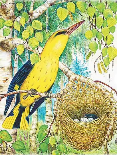 Лучшие истории Виталия Бианки о животных - фото 7