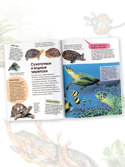 Рептилии - фото 6