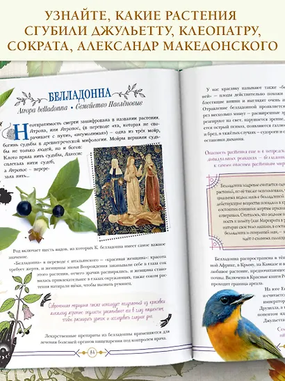 Опасные растения. От ядовитых до аллергенных - фото 5