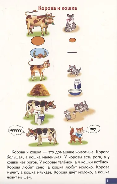 Логопедические карточки "Играй и говори! Схемы для сравнительно-описательных рассказов" - фото 2