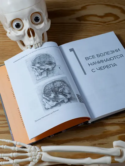 Живая остеопатия. Системный подход к лечению явных и скрытых заболеваний - фото 8