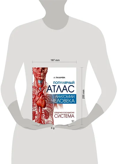 Популярный атлас анатомии человека. Сердечно-сосудистая система - фото 4