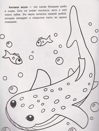 Самые большие: книжка-раскраска - фото 3
