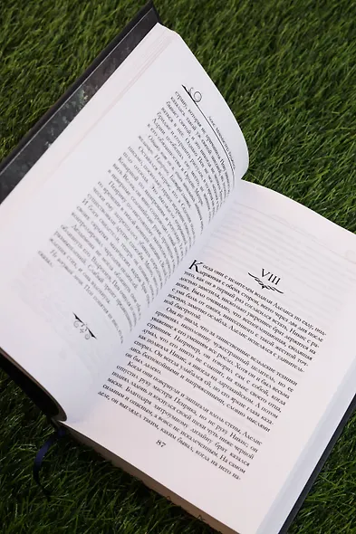 Пенрик и Дездемона. Книга 2 - фото 12