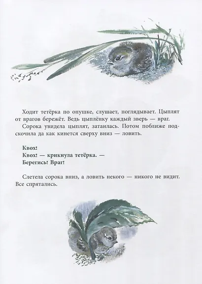 Болтливая сорока - фото 8