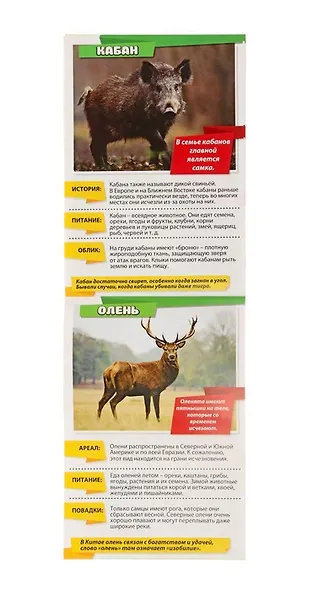 Набор мини-энциклопедий "Узнаем про все вокруг. Живая природа". Комплект из 8 книг - фото 3