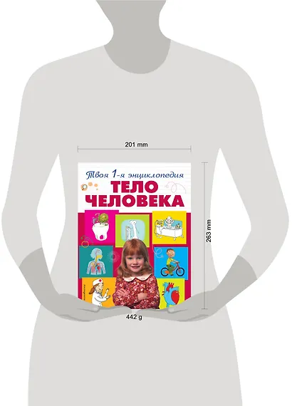 Тело человека - фото 4