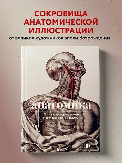 Анатомика. От ужасного до великого: человеческое тело в искусстве - фото 4