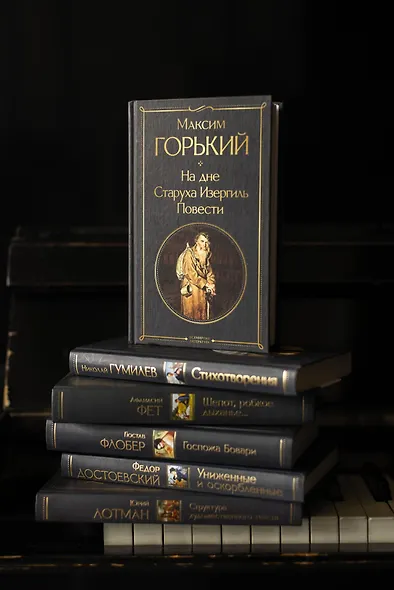 На дне. Старуха Изергиль. Повести (белая бумага) - фото 10